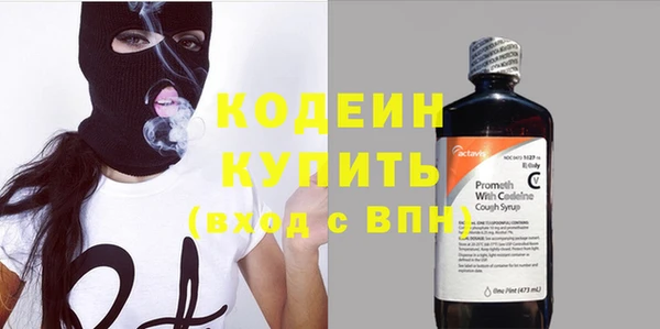 PSILOCYBIN Алзамай