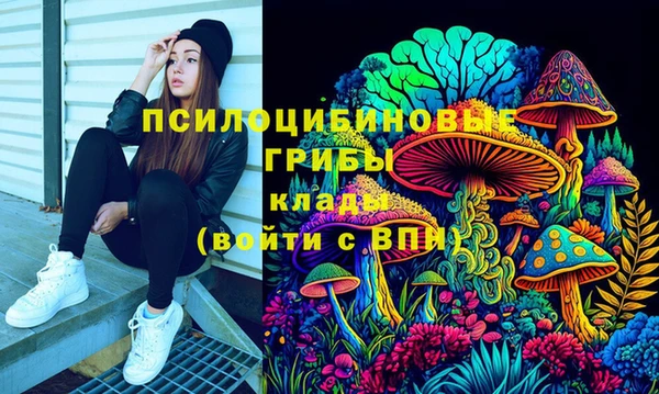 амфетамин Алексеевка