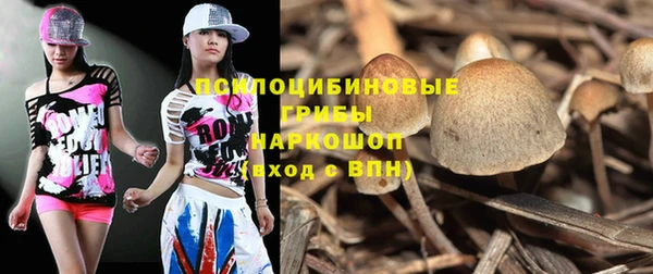 МДПВ Аркадак