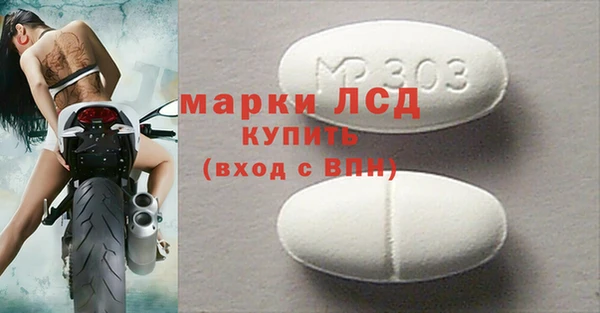 PSILOCYBIN Алзамай