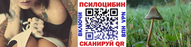 Галлюциногенные грибы Magic Shrooms  Ельня 
